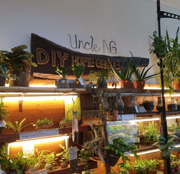 Uncle Ng DIY Home Garden